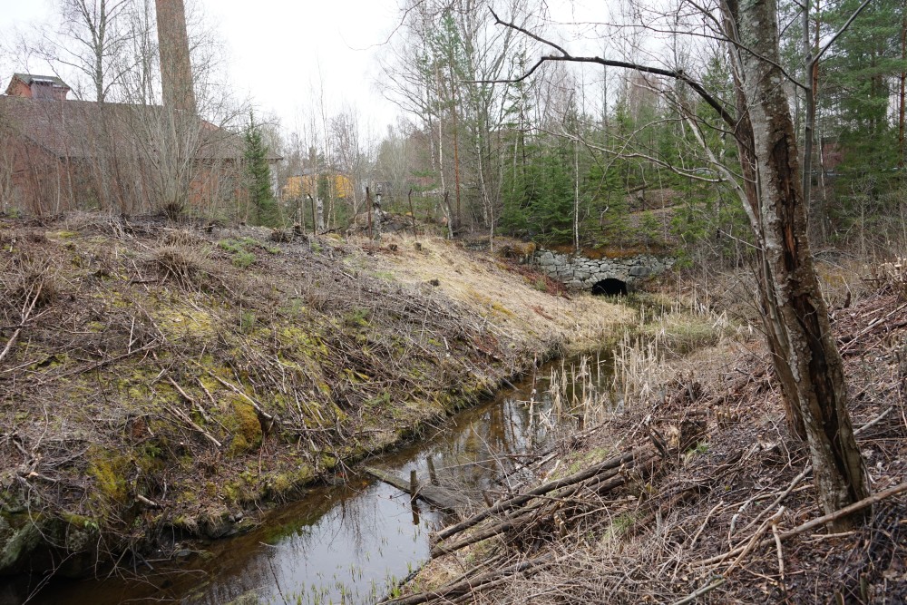 Landskapsbild som visar en kort sträcka av Pråmån.